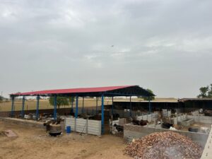 A wide view of a spacious outdoor cattle pen. A large shed with a red roof and blue support beams provides shade for many cattle. The pen is divided by concrete walls, and various cows are visible both inside and outside the shed. Piles of bricks are in the foreground, and open fields with distant trees are in the background under a cloudy sky.